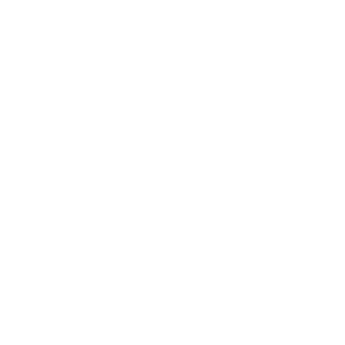 Cinemaker Pro